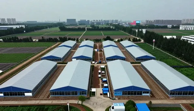 土建施工服务选型中的关键考量因素